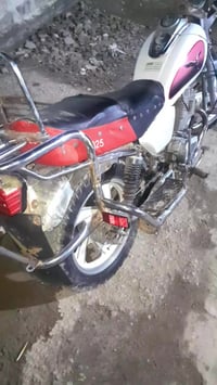 تايموته • ٢٠١٠ • سنوية