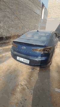 نص فول • ٢٠١٩ • رقم اربيل