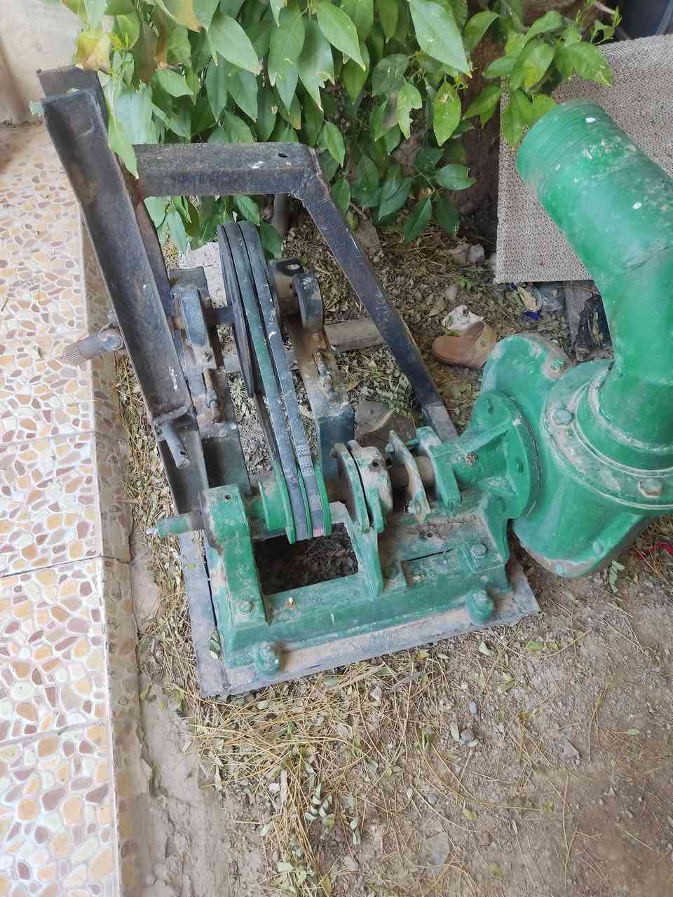 خنزيرة نظيفة حجم6/ب5
فول نظافة  شغلها خير من الله 

سعر 450
 العنوان /ديالى جلولاء 

للاستفسار الاتصال على ***********
