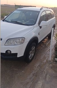 فول توماتيك • ٢٠٠٨ • ٧ راكب