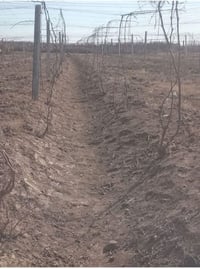 العنده كداد ترتيب عيون حاضرين كادر كامل  07827772168