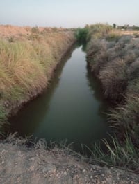 دونم ونصف الوجه تقريبآ ١٥ متر إلى ١٧ النزال ١٢٠ موقع الأرض جنوب بغداد ...