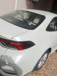 ساز خليجي • ٢٠١٩ • بدون صبوغ