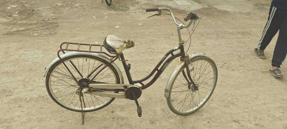 بايسكل بناتي للبيع قيم بما يرضى الله به


**إذا كنت صاحب هذا الإعلان وتريد حذفه لأي سبب، رجاءا أرسل رسالة إلى الدعم الفني**