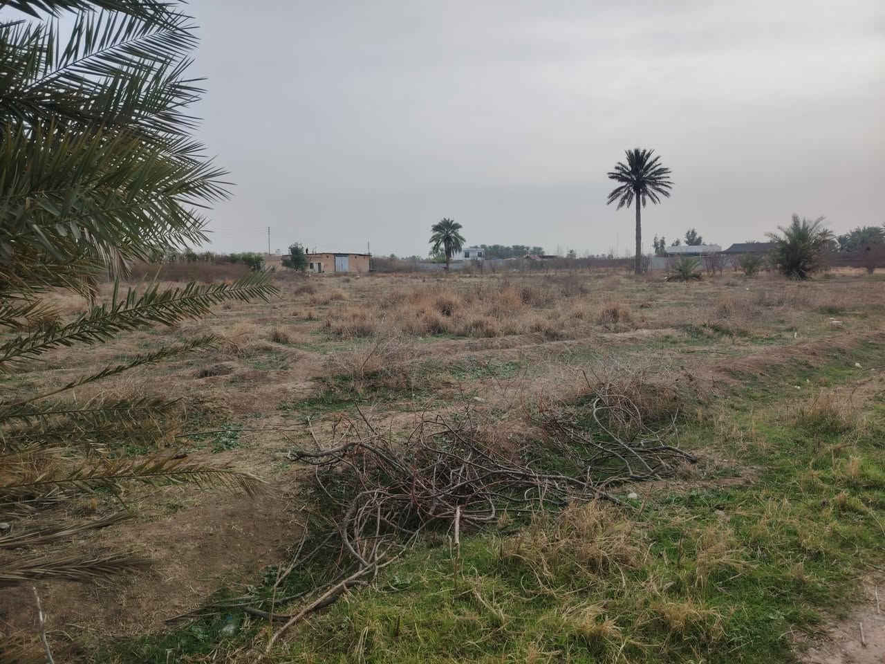 سلام عليكم
أرض زراعيه للبيع ركن
الموقع صلاح الدين قضاء بلد مدخل ٢
تفاصيل أرض
جنس عقار ملك زراعي سند ٢٥
المساحه دونم
الواجهه ٢٦ متر
النزال ٩٧ متر 
خدمات ماء كهرباء
للاستفسار الاتصال على الأرقام التاليه
***********
***********
او مراجعة مكتب التمار للعقار الواقع شارع المحطه محلات الحاج عدنان
