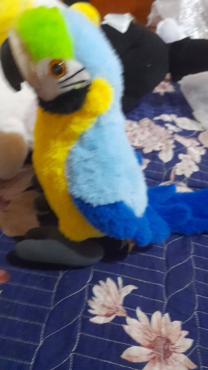 ددبه وصط وكبار سعر خاص تواصل


**إذا كنت صاحب هذا الإعلان وتريد حذفه لأي سبب، رجاءا أرسل رسالة إلى الدعم الفني**