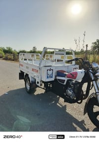 ستوتة • نضيفة • وراق كاملة