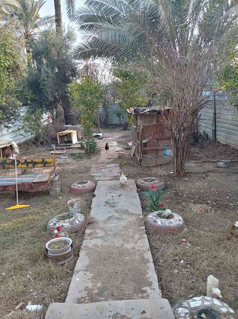 بيت في الطارميه الشهداء قرب جامع عمر بن عبد العزيز مساحه الارض 500 متر الواجهيه 10 مساحه البناء 200 متر طابقين سند 25 زراعي السعر 110 وبي مجال شي بسيط
للتواصل:*********** اثير
*********** كورك
