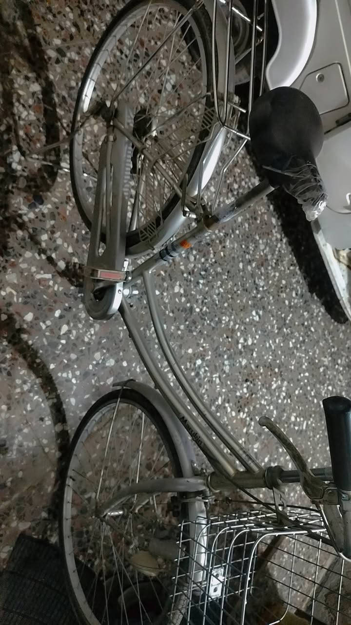 بانتي حجمه ٢٦  سعره ٦٠ وبي مجال بغداد الحسينيه


**إذا كنت صاحب هذا الإعلان وتريد حذفه لأي سبب، رجاءا أرسل رسالة إلى الدعم الفني**