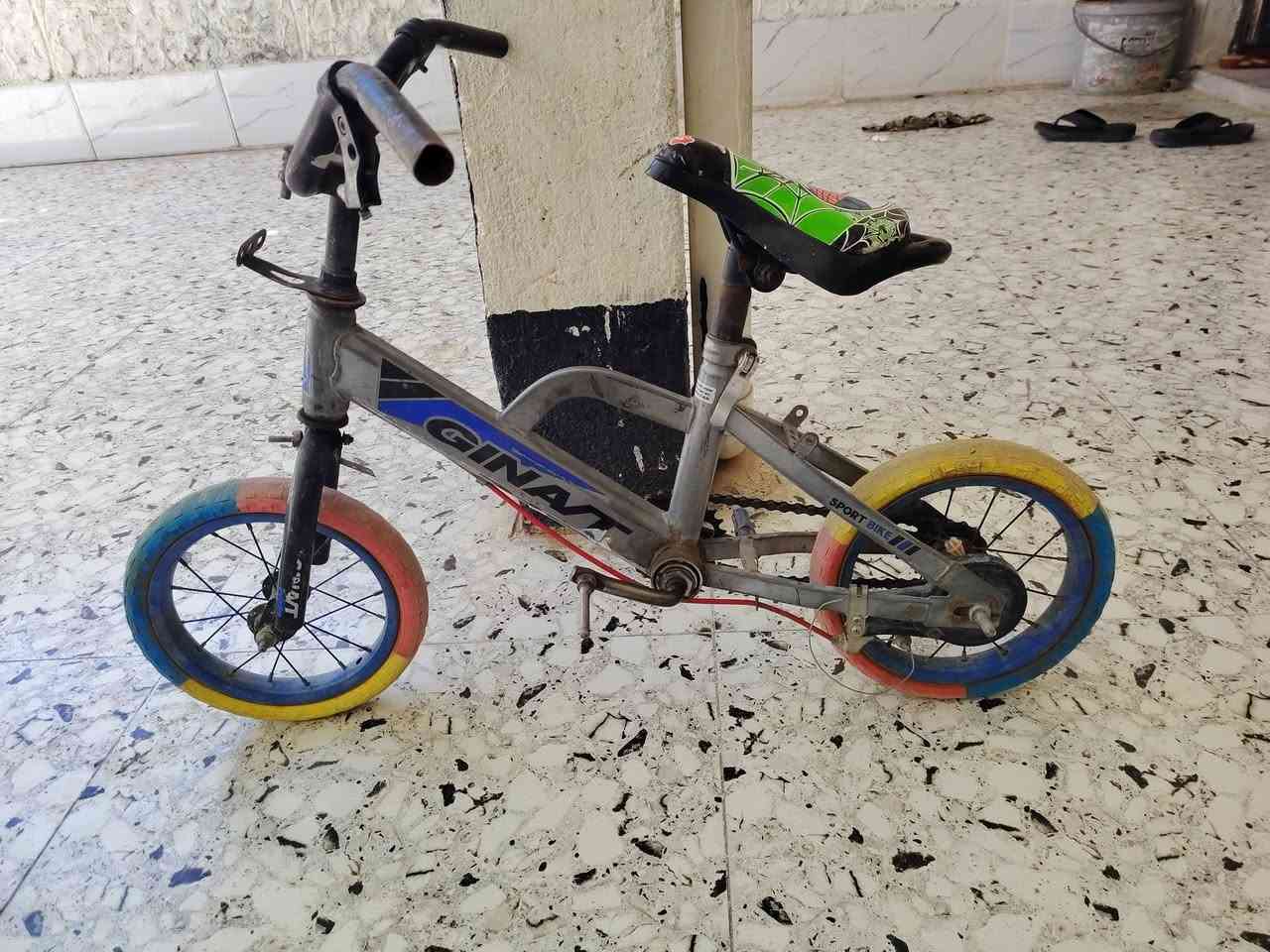 بايسكلات بسعر مناسب جدا
ثنينهن ب ٤٠ الف


**إذا كنت صاحب هذا الإعلان وتريد حذفه لأي سبب، رجاءا أرسل رسالة إلى الدعم الفني**