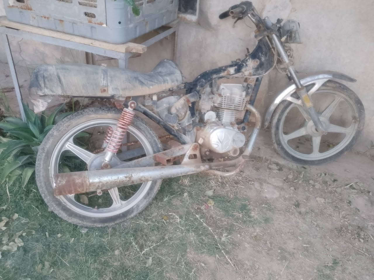 سبب ضروف المشتري
متروكه وياله نضيفات شاصي نضيف 

للبيع


**إذا كنت صاحب هذا الإعلان وتريد حذفه لأي سبب، رجاءا أرسل رسالة إلى الدعم الفني**