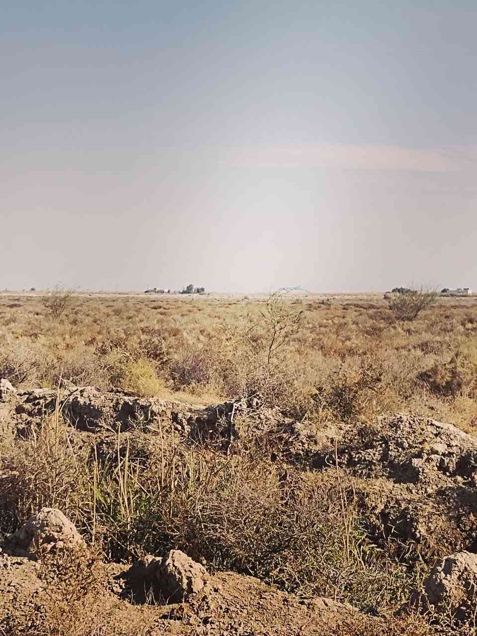 أرض زراعية ٣٠ دونم للبيع تقع على طريق الحي مقابل المعهد التقني الكوت كهرباء وماء سيح لسقي اوساله العقد الجديد ٢٤ الأتصال على هذا الرقم ***********
تصلح ان تكون مخازن مشروع حقول دواجن لانهاقريبه جدامن الشارع العام
