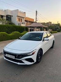 الانتراء ٢٤ • كفاله • زينون