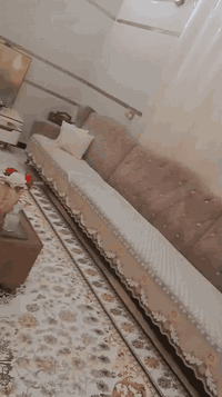 ديوان عالي • ١١م • حي النصر