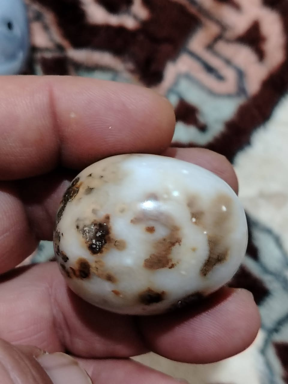 يمانية كبيرة مصورة 
نصف بيضة تقريبا 
25 الف


**إذا كنت صاحب هذا الإعلان وتريد حذفه لأي سبب، رجاءا أرسل رسالة إلى الدعم الفني**