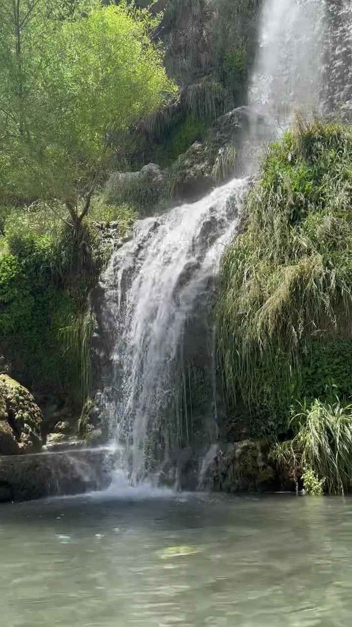 سارع بالحجز و استمتع معنا
آخر مقاعد
موعد الانطلاق بعد عشره محرم
ايران بري 
🚌🚌🚌🚌🚌🚌🚌🚌

14 يوم 
 قم ومشهد والشمال بسعر(230) الف فقط
10 يوم 
قم و مشهد 🚌🚌
بسعر(170)الف دينار عراقي 
ملاحضة
كل البرامج تشمل
3 وجبات طعام مشهد
🥯🍔🍟🍲🍛
🍮🫕🍜
جولات دينية وسياحية 
على حساب الشركة 

مع اجمل الجولات السياحيه 
🚠⛵🎡🏝️🕌
الشمال 
‎🔴 البرنامج يشمل👇👇
‎❤ جالوس . رامسر . نوشهر ❤ ساحل بحر قزوين ❤ نمك ابرود ❤ الغابات ❤ بحر قزوين ❤ موتل قو ❤
‎التلفريك ❤ احلى الالعاب المائية في بحر قزوين السكي والمنطاط والجاتسكي وطرادات والبرشوت وجميع الالعاب الجميلة ❤ غابات 
‎ 🌹 تلفريك 🌹
جوله دينية
 في قم زيارة السيدة معصومه..
جامع جمكران . بيت النور 
مشهد المقدسة 
 زيارة الامام الرضا ع.
 قدم الإمام الرضا.
. زيارة ياسر وناصر اخوان الإماالرضا ع..
جبل كوسنجي 

ملاحضة 

فرق الغرفة الثنائي 50 الف للنفرين طول الرحلة 
👫👫👫👫
فرق السنكل 70الف
الطفل من عمر سنتين ودون مجانا
🤶🤶🤶🤶
الطفل من سنتين إلى6  سنوات نصف بطاقة
الطفل من عمر سبع سنوات وفوق  بطاقة كاملة 
يرجى جلب وكالة خاصة للأطفال تحت سن 18 عام من الأب 

شوف التعليقات موثقة فنادقنا وباصاتنة ورحلاتنة

------------------------------
⚠️ وفرنا خدمة الحجز عن طريق الواتساب لعوائلنا
في بقية المحافظات 
———————————————-
🔘 او مراسلة الصفحة 🔘
🧭واتساب ***********
🔹————————-
