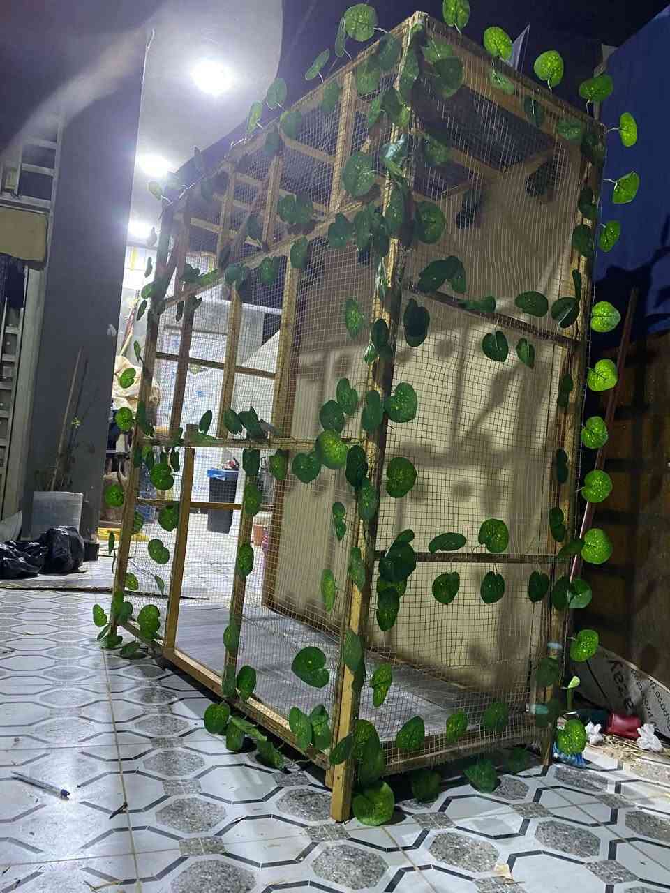 السلام عليكم فقص للبيع مثل ما موضح بالصور مكاني الديوانيه للتواصل واتس *********** او فيس متواجد السعر 90الف
