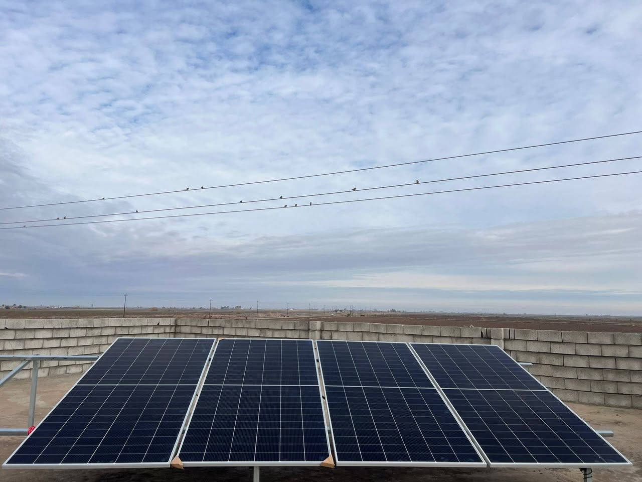 شارعت كوادر شركة رياض المنيف واخوانه بتركيب  منضومة للمواطن وطبان غازي 
ناحية الرياض قرية الصالحيه 
الواح لونجي615W عدد 4
انفيرتر. 4KW
بكج ليثوم 8 امبير ضمان 10 سنوات يتوفر لدينا منصة الرافدين بدأ من محافظة صلاح الدين ونهاية ناحية القيارة بطاريات ليثيوم متعددة الاحجام ضمان 5سنوات
انفيرترات متعددة الاحجام ضمان سنتان
ألواح لونجي ضمان 15سنة… التقنية اللي تثبت يوم بعد يوم إنها الأفضل 🌞
كفاءة عالية، أداء ثابت حتى بأصعب الظروف، وطاقة تدوم سنين 🔋
اختار الذكاء، اختار لونجي مع الشمس لحلول الطاقة ☀️https://www.facebook.com/share/1GHRsJ2NvQ/

📞 للطلب والاستفسار:
***********
***********
في حالة وجود خلل اتصل واتساب وستحل مشكلتك على يد مهندس الكهرباء أستاذ خلف📞 ***********
عبدالله المنيف الجبوري  مديرالمبيعات  ومديرالكادر الفني
والمسؤؤل عن المخازن
📞‏‪***********‬‏
🏢 مقرنا كركوك قضاء الحويجة طريق العباسي

📍 فرعنا الثاني محافظة صلاح الدين قضاء بيجي منطقة البعيجي بأدارة مهندس وعد
***********
***********
فرعنا الثالث فرعنا الثالث ناحية القيارة دور القاعدة الشارع العام مجمع الصالح التجاري
بأدارة محمد الصالح ***********
📍السليمانية
📍 كركوك
📍 الموصل
📍 سامراء

#لونجي #ألواح_شمسية #الشمس_لحلول_الطاقة #طاقة_نظيفة
