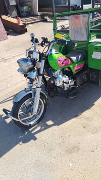 ستوتة • موديل 2022 • أوراق أصولية