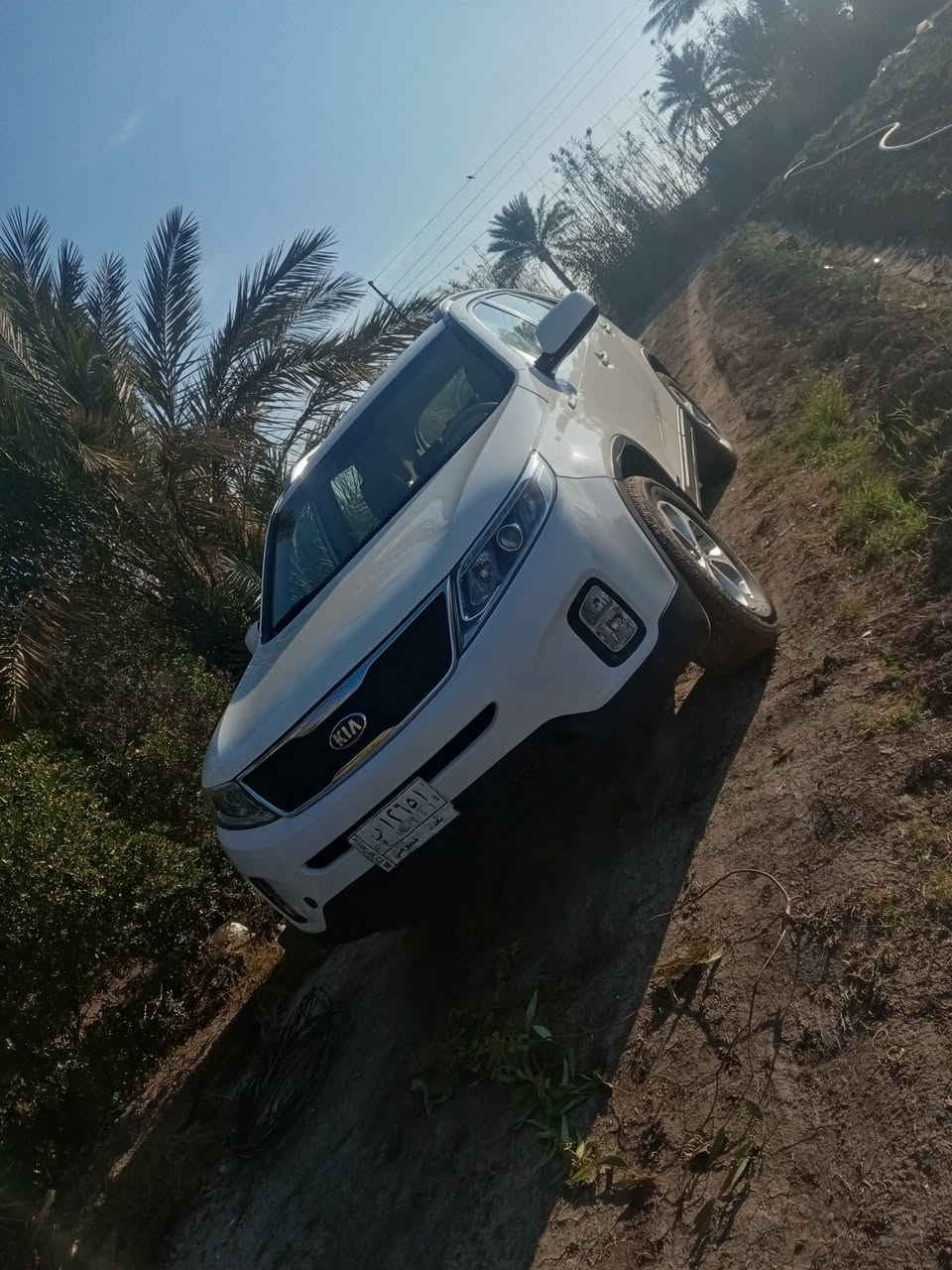 السلام عليكم سورنتو موديل ١٤ البيع رقم بغداد ٦سلندر ٧راكب موصفات عاديه صور السونار بلصور السيار جديده سعر ١٧٢  الرقم  *********** مكاني بغداد اليوسفيه ناحيه الرشيد الرشيد
