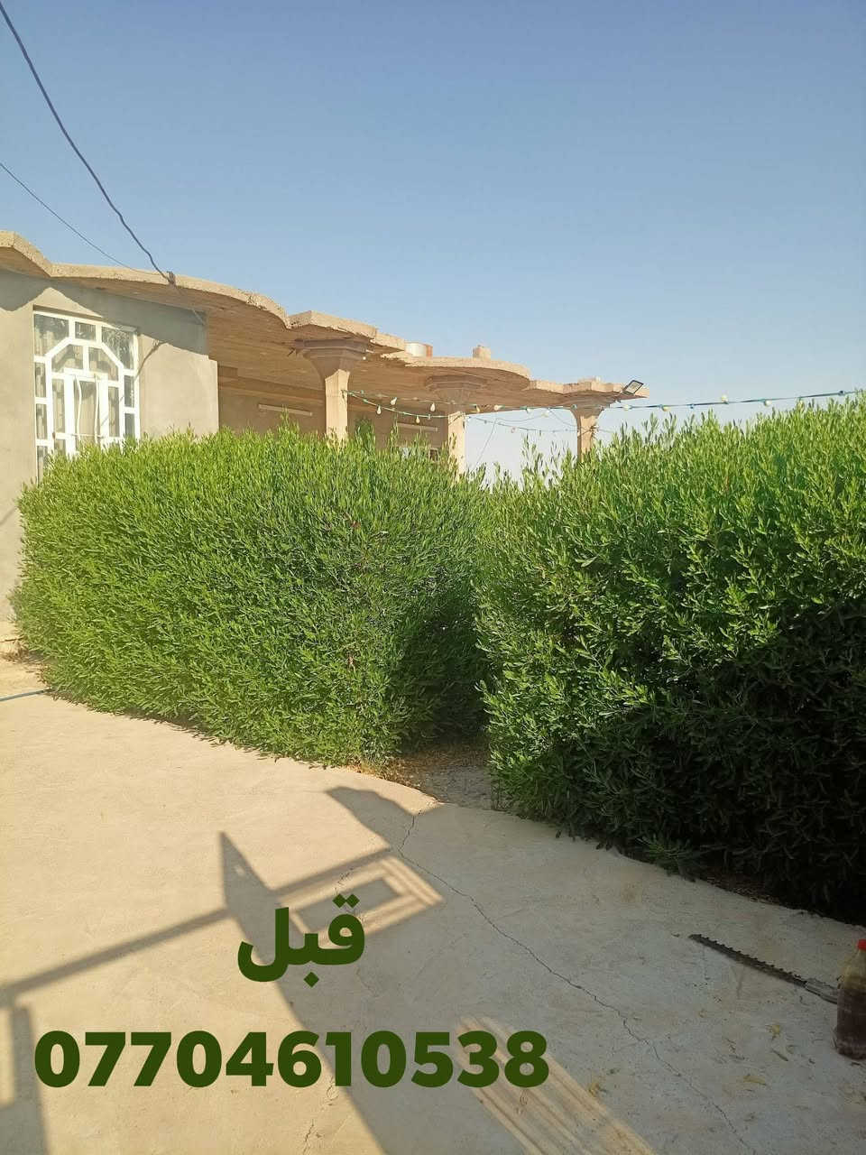 شغل اليوم تقليم اس نينيه تكرب نخل 
اتصل، ***********
