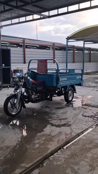 ستوته • موديل ٢٠٢٢ • ورقتين