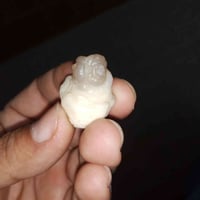 للبيع نوادر 07829668188