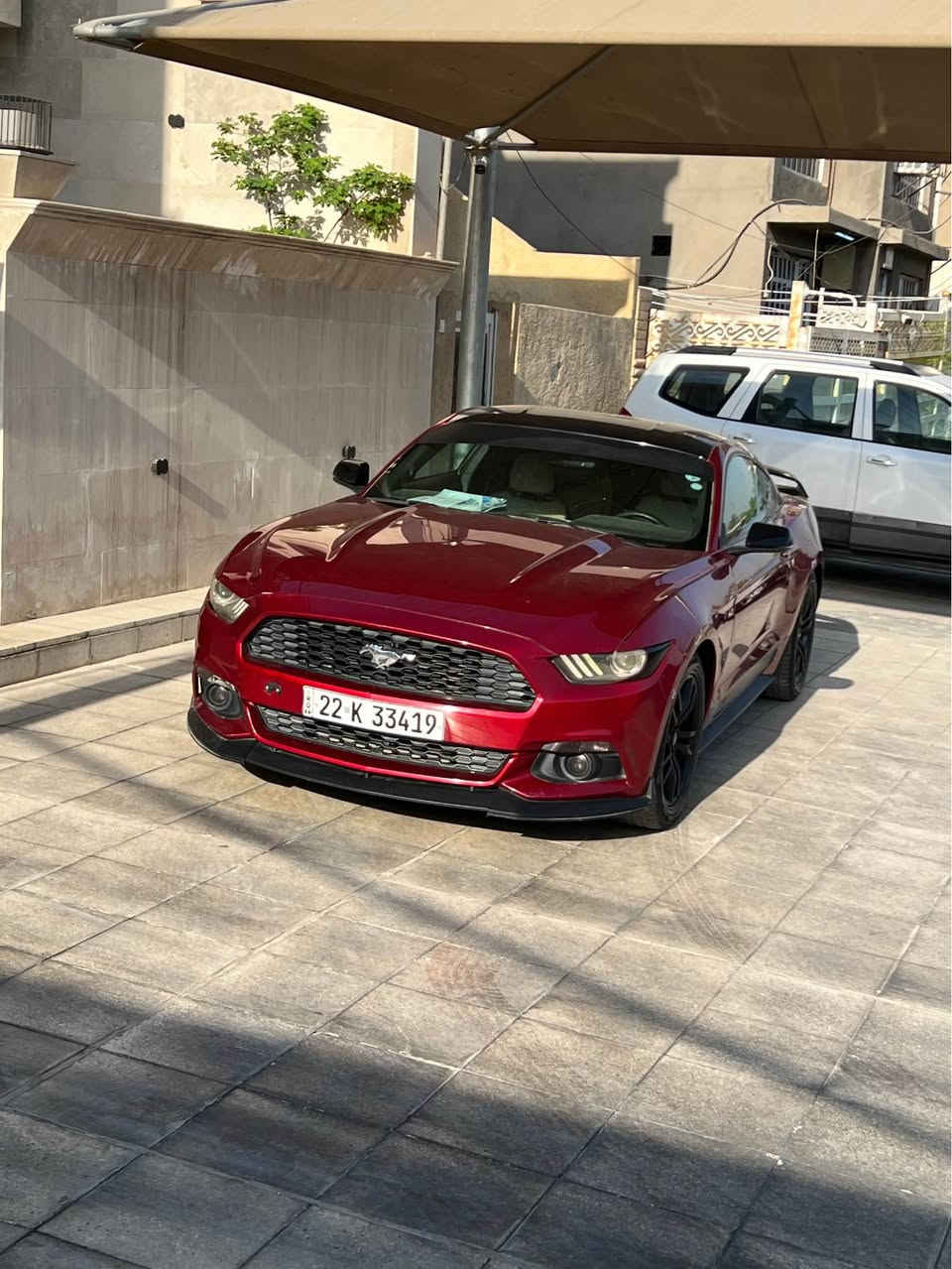 فورد موستنك2016 ايكو بوست 
يمكن معدودات علا اصابع البهه هيج مواصفات 
سعر 119 وبيه مجال 
خزن ميموري 
سستم مضخمات بلصندوك من شركه شارك📡
فول برميوم 1/1
محرك 2300
تخم تاير جديد
ادامه كامله مسويله 
كشنات تدفئه تبريد
شاشه جبيره تدعم الكار بلي 
رقم أربيل الجديد تحويل مباشر
كلش هواي شادله غراض لحيه وسبايدر 
ودمام صوت 
صور الحادث  وبلسونار  بلمنشور 
بيه اربع قطع صبغ 
لغد شاصي مكفول 
تبريد 🧊 
مكاني بغداد 
بيع فقط 
*********** بغداد, العراق
