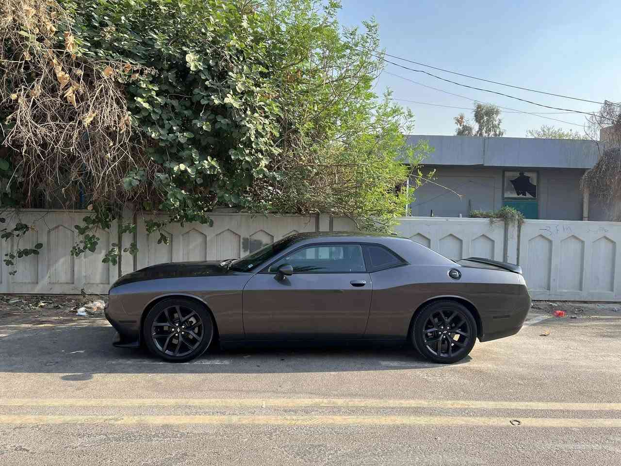 جالنجر V6 GT 
ماشية 37 Mile 
موديل 21 
تبريد قطعتين حساس خلفي 
كشنات حضن كهرباء 
شفتات ستيرن بلادي 
رقم بغداد الجديد 
حادثهة بنيد وجاملغ 
البنيد مبدل والجاملغ مصبوغ ايرباك راجع سستم
كير مكينة مكفولات من اي شي
السعر 18 و700
مكاني بغداد 
للاستفسار ***********
