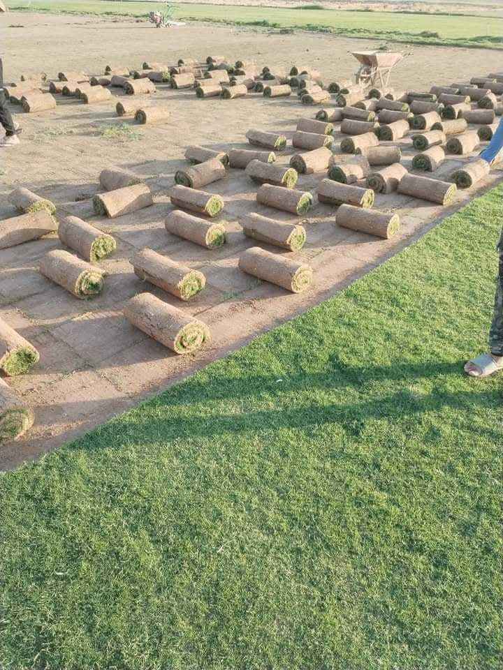 ***********
توصيل مجاني
ثيل ديالى الطبيعي ، 🍀☘️🍀☘️
متوفر كافة انواع الثيل 
الثيل امريكي🌿الثيل هندي🌿الثيل ايطالي 🌿ثيل فرنسي🌿
تجهيز...
مشاتل🌴👇
دوائر حكوميه🏦👇
منازل🏡👇
منتزهات🏄
موجود خدمة توصيل 🚕🚕 لكل محافظات العراق 
للطلب التواصل مع الصفحة 
.............................................
چيمه نی دیالی سروشتی،🍀🍀
هەمو جۆرێ چیمەن مان هیە
چمەنی امریکی🍀چيمه نى هندی🍀چیمەنی ایتالی🍀چیمەنی فەرنسی
..امادەین بۆ حازر کرنی هموو شوێن..
شتڵ گا🌴
دائيرەی حکومی⛪️
خانوو🏡
گە یاندن هيه بۆ هموو شوێن بعقوبة, ديالى
