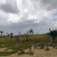 مقابيل مزرعة ايهاب • ٥٤٠م • سند