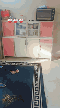 اغراض للبيع  نضيفات ثلاجه جديده استخدم ٧ اشهر كسر فلين  وكاونتر تكمه ٤ قطع وياه طباخ وغساله شغاله غسل وتجفيف بس بيبان مكسره ع فحص وعندي جربايه هيه ولدوشك مالها طبي  و٤مقاعد تخم  وافن ومبرده شغاله بس متروكه هم ع فحص *********** او مراسله خاص
