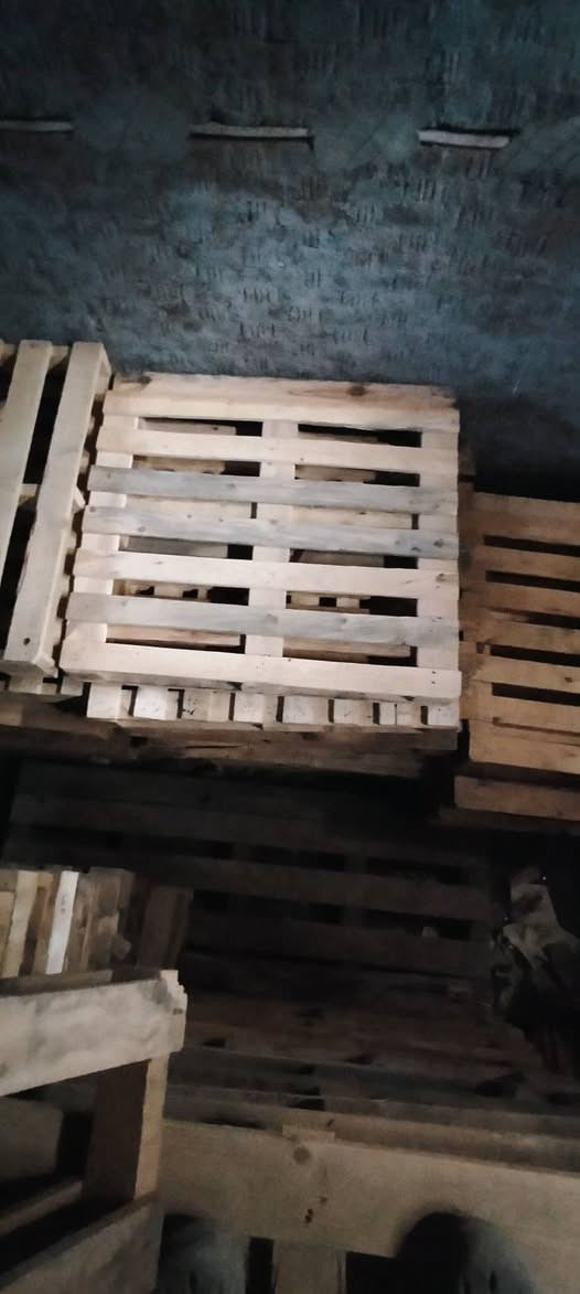 حوالي 4طن استندروفيهم لوحة
الطن نهائي 12500

01010204852

دسوق كفر الشيخ


**إذا كنت صاحب هذا الإعلان وتريد حذفه لأي سبب، رجاءا أرسل رسالة إلى الدعم الفني**