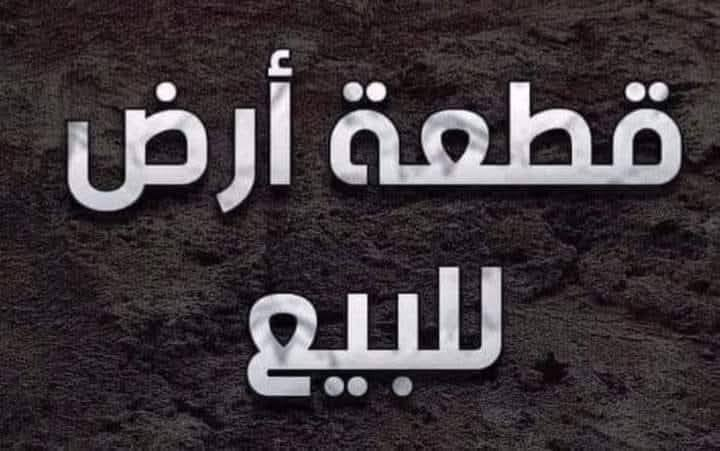 يالله🌷

تحية طيبة🌻

قطعة للبيع مساحه 150متر طابو صرف 
الموقع حي الحريه الثاني
شارع بعرض (15)متر  
للاستفسار ☎️
علي ثائر 
***********
***********
وسام فيصل 
***********
***********
او مراجعه مكتب علي الغراني للعقار 
السايدين الجديد مقابل ملعب جمال زليزل
