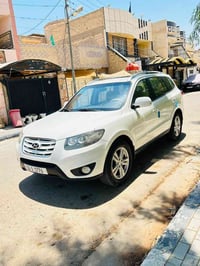 سنتافي ٢٠١٠ • وارد كويتي • ٧ راكب