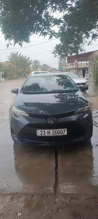 كورلا • ٢٠١٧ • المقدادية