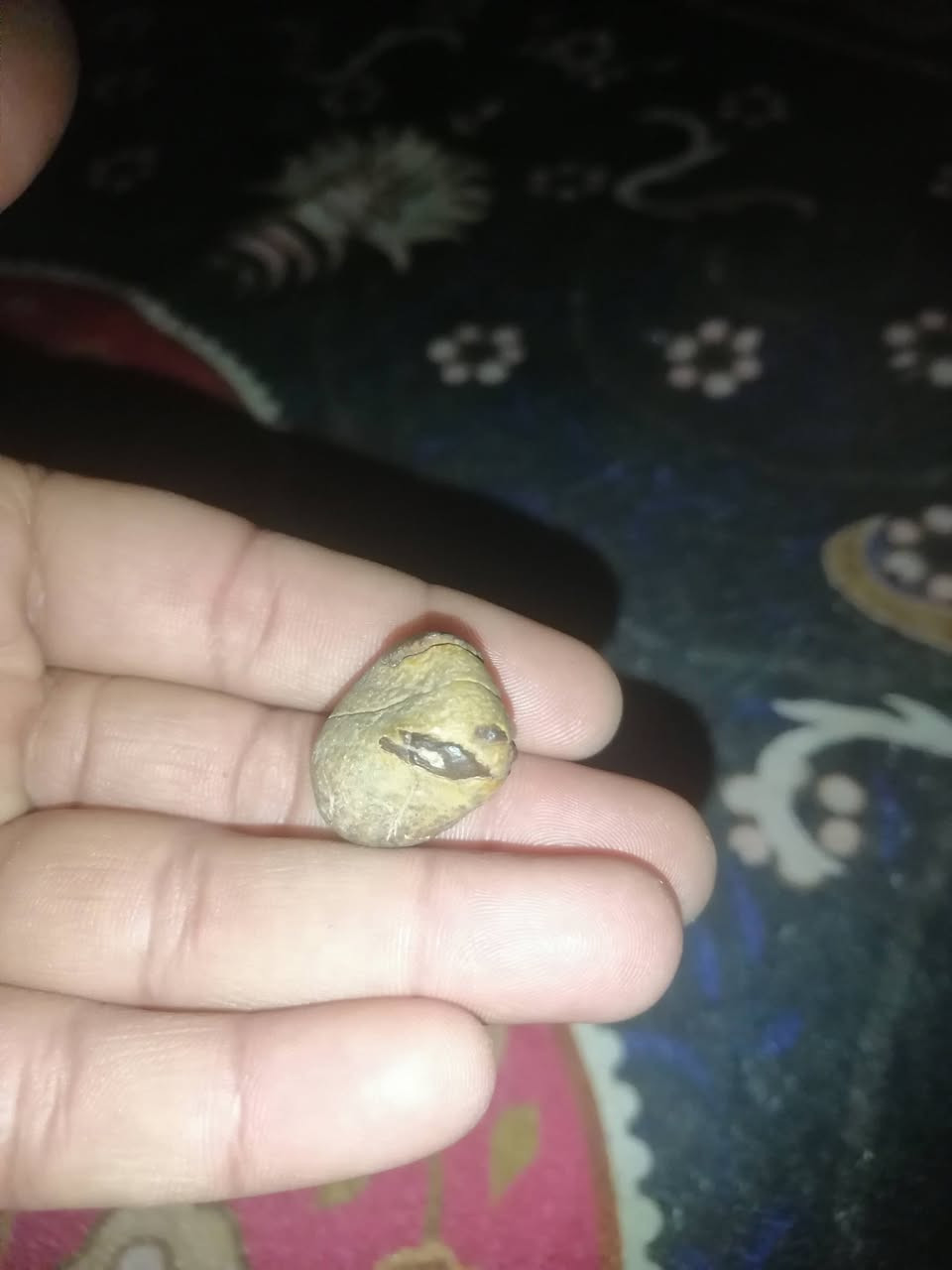 للبيع ٥٠
***********
