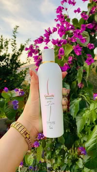 شامبو • جانوزي • متوفر