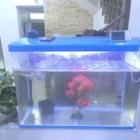 حوض سمك • ٨٠سم • مستخدم ٥ أشهر