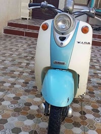 فينو • وضع البلاد • عبد الحليم