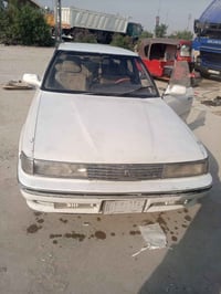 مارك • مكفوله • نجف خان النص