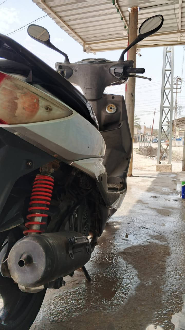 دراجه سكنز فحل  ياباني المكان
 المسيب السعر 800وبيه مجال بسيط 
الرقم ***********
