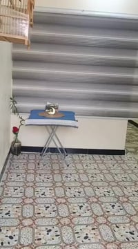 شارع المعهد • أكثر من ١٠٠م • بيت مكتمل