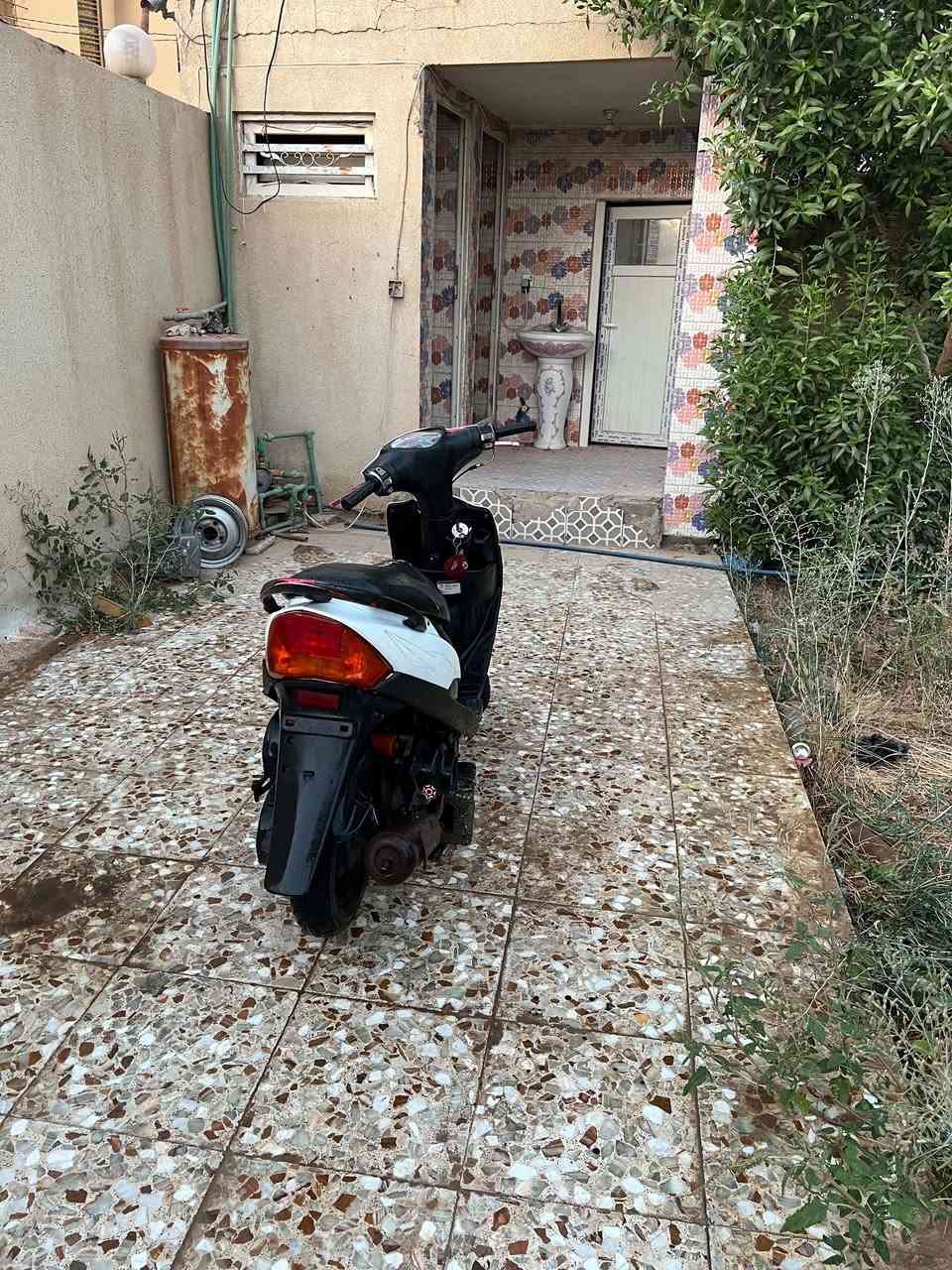 مراوس بكلاسك كون جديده


**إذا كنت صاحب هذا الإعلان وتريد حذفه لأي سبب، رجاءا أرسل رسالة إلى الدعم الفني**