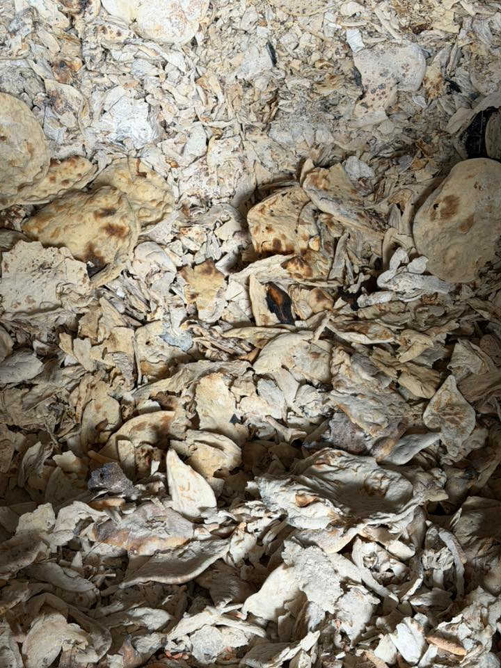 محل أعلاف بيع وشراء علف متوفر عدنا أنواع بقوليات وعدنا حنطه وشعير ونخاله تلعفر وطحين وتمن ومعجون وحليب وزيت 
عنوان شارع البواري مقابيل دكتورة ولاء 

‭٠٧٥٠ ٨٧٠ ٠٨٧٥‬
عنوان موجود بفيديو
