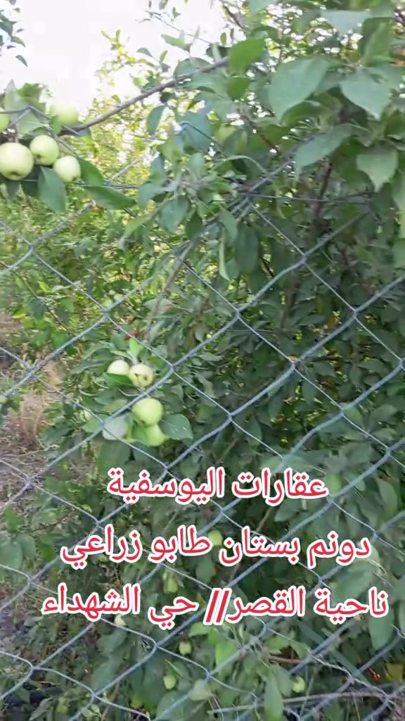 #creatorsearchinsights 


**إذا كنت صاحب هذا الإعلان وتريد حذفه لأي سبب، رجاءا أرسل رسالة إلى الدعم الفني**
