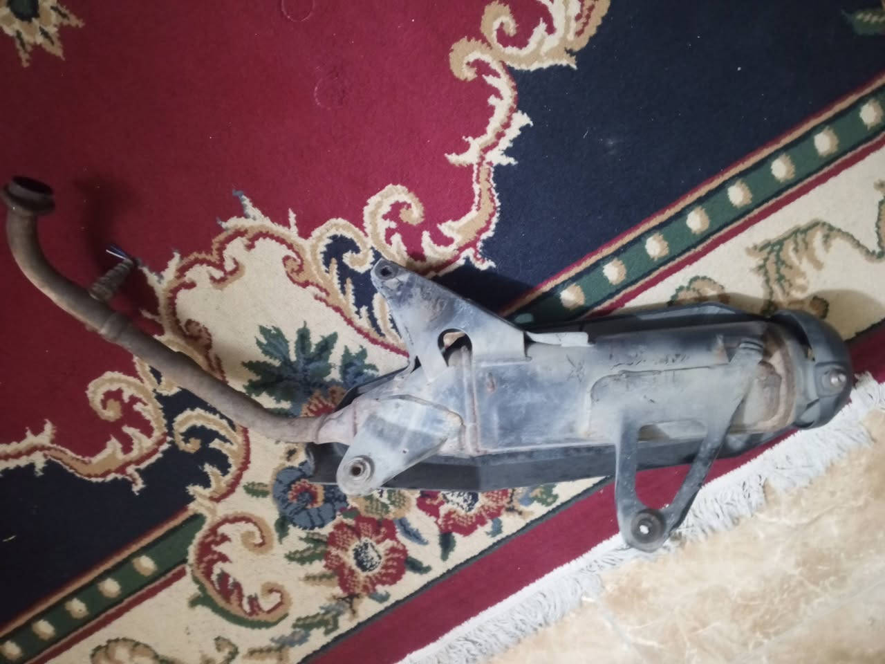 السلام عليكم غراض سكنس جبلي مال تفصيخ ( اسعار ثابته رجائاً ليخابرني يعامل اسده بوجه) ***********
