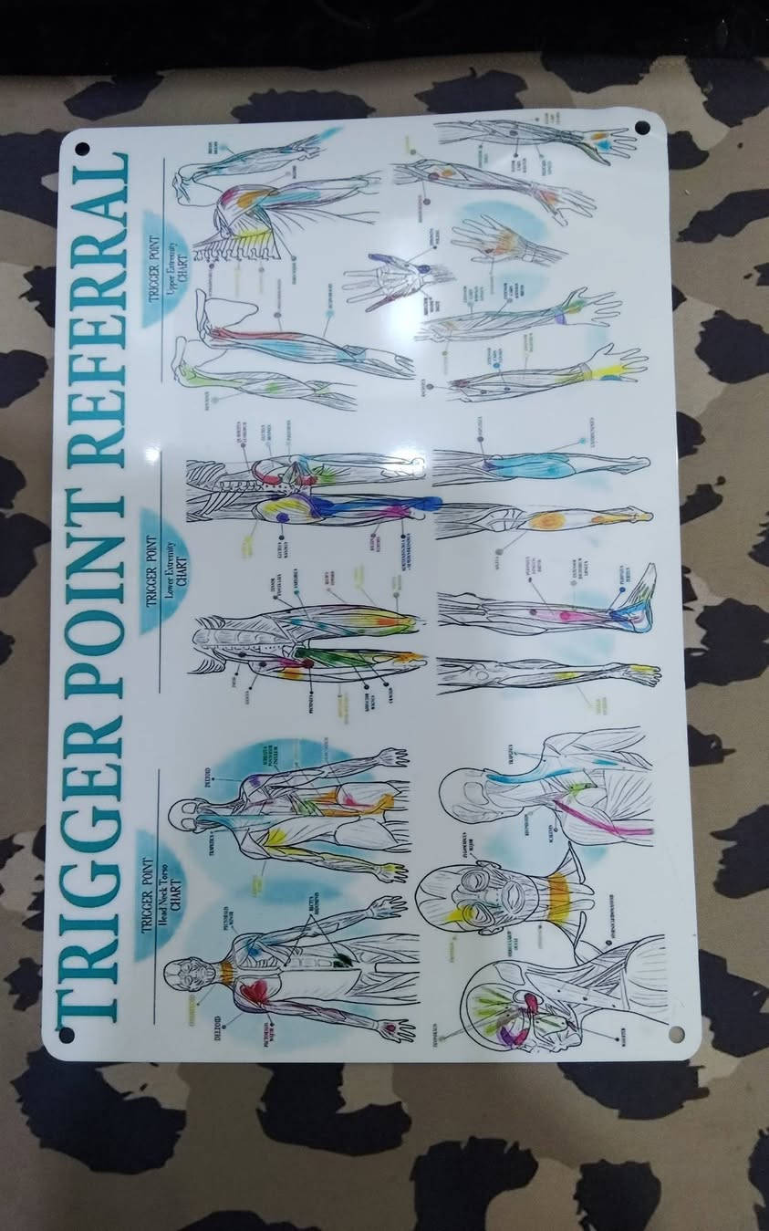 مجسم لجسم الإنسان قياس 25 سم سعره 15 الف


**إذا كنت صاحب هذا الإعلان وتريد حذفه لأي سبب، رجاءا أرسل رسالة إلى الدعم الفني**