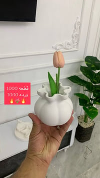 جملة • مفرد • للحجز