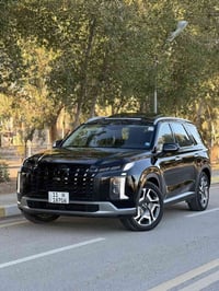 باليسايد • ٢٠٢٣ • حادث